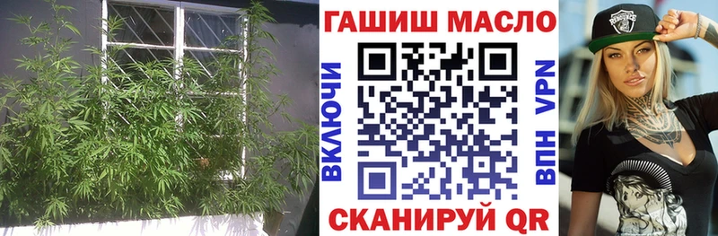 ТГК жижа  ОМГ ОМГ ссылки  Ахтырский 